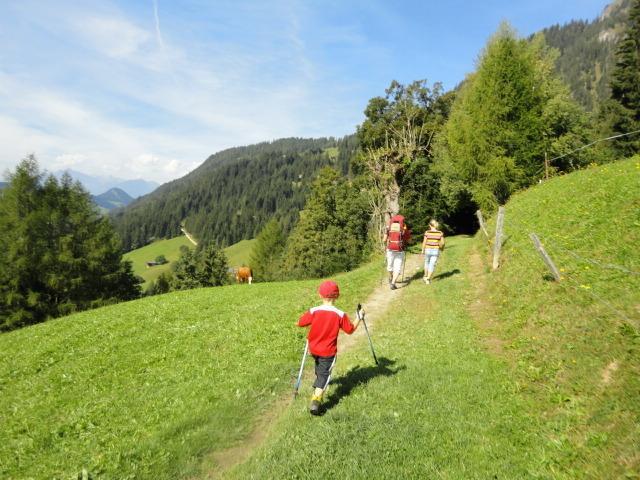 Hanslerfeld Alpbach Habitación foto