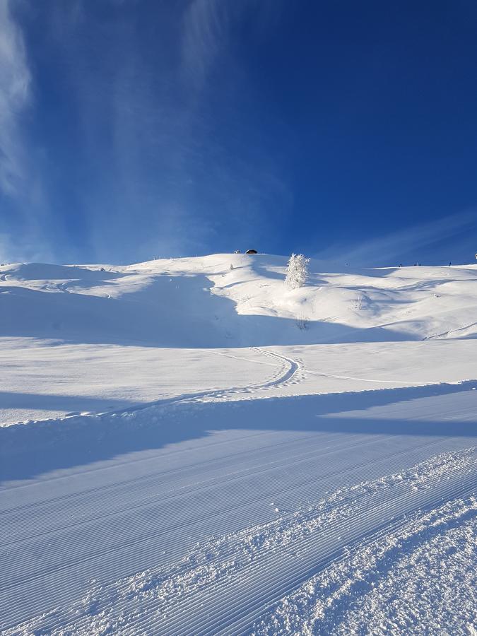 Hanslerfeld Alpbach Exterior foto