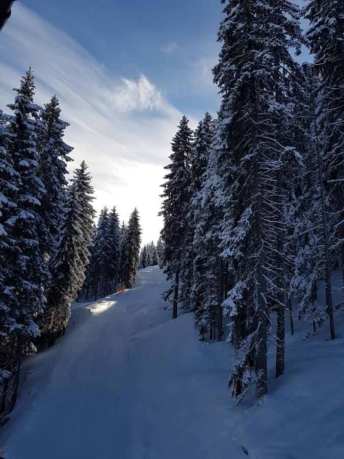 Hanslerfeld Alpbach Exterior foto